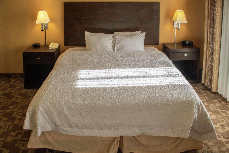 Standard Stúdiószoba Franciaággyal King Size, Hampton Inn & Suitesknoxville/north I75