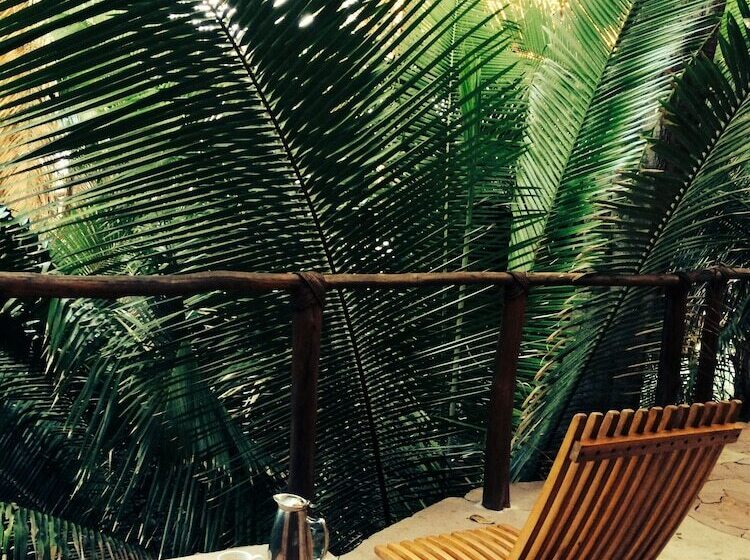 Люкс с Видом, Imanta Resorts Punta De Mita