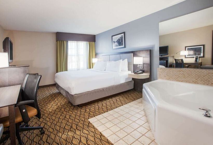 디럭스 스위트, Wingate By Wyndham Roseville/detroit