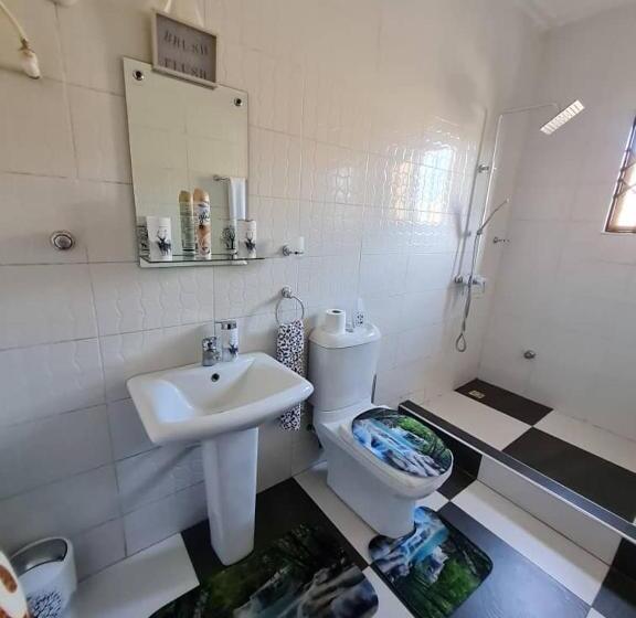 Номер бизнес-класса, Nesta Barron  Home Away From Home