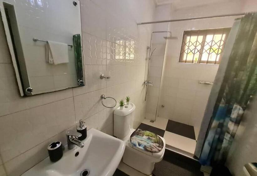 Номер бизнес-класса, Nesta Barron  Home Away From Home