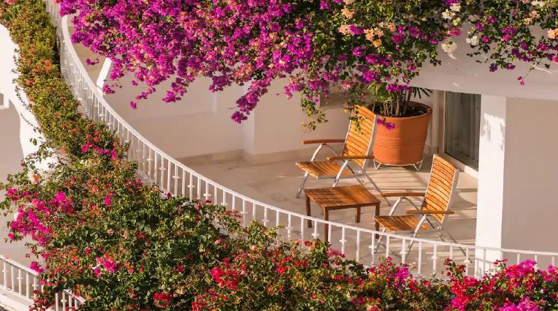 סוויטת ג'וניור, Grand Miramar All Luxury Suites & Residences