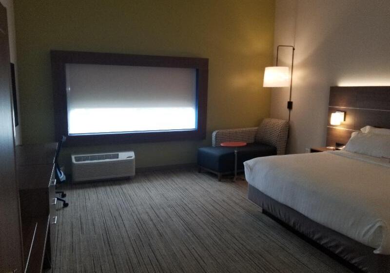 스탠다드 룸 킹사이즈 침대, Holiday Inn Express Hotel & Suites Dublin, An Ihg