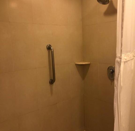 エクゼクティブスイート, Holiday Inn Express Manzanillo, An Ihg