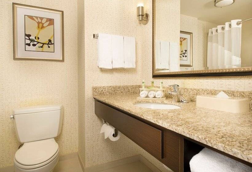 장애인을 위한 스위트, Holiday Inn Express & Suites Alexandria   Fort Belvoir, An Ihg