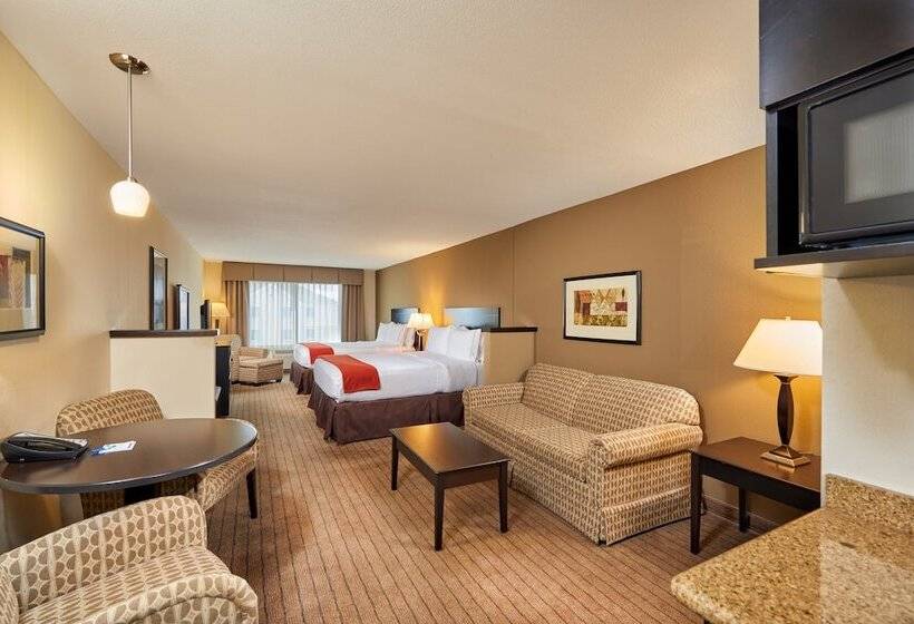 Люкс, Holiday Inn Express & Suites El Paso Airport, An Ihg