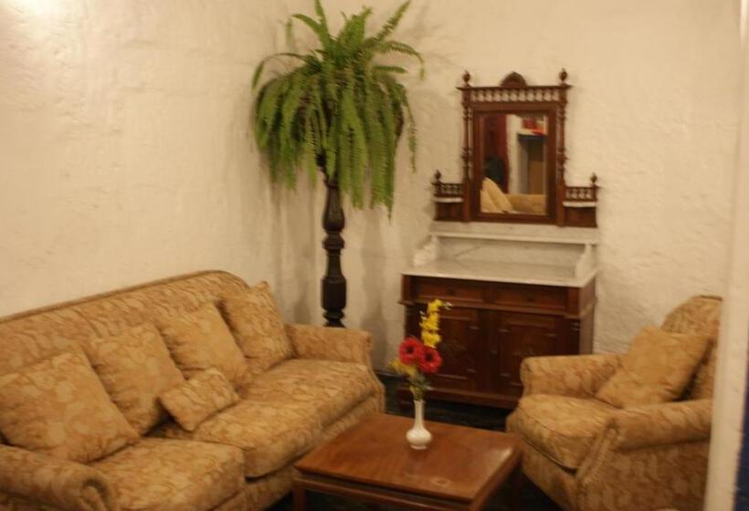 스탠다드 싱글 룸, Flying Dog Hostel Arequipa