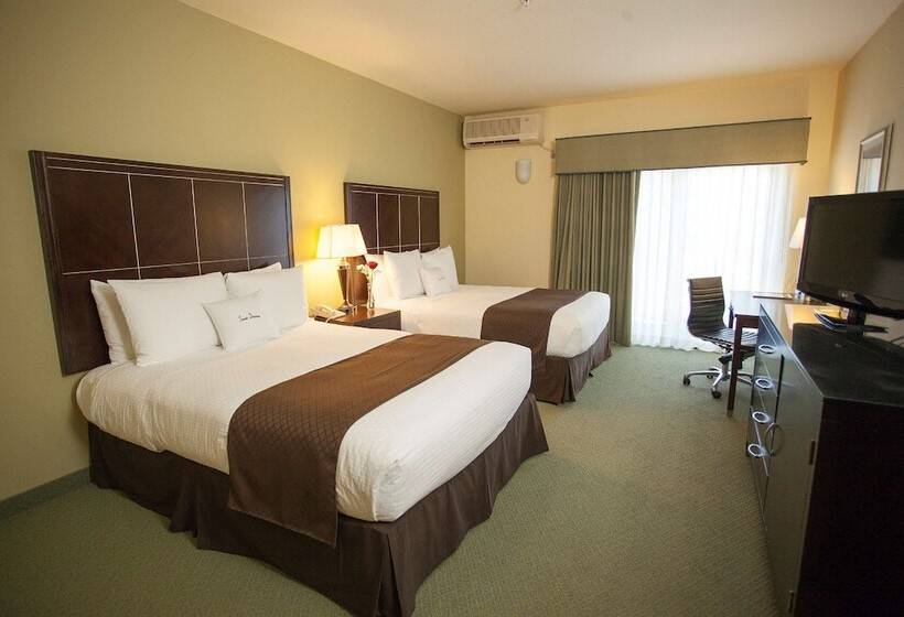 标准间, Doubletree By Hilton Napa Valley American Canyon