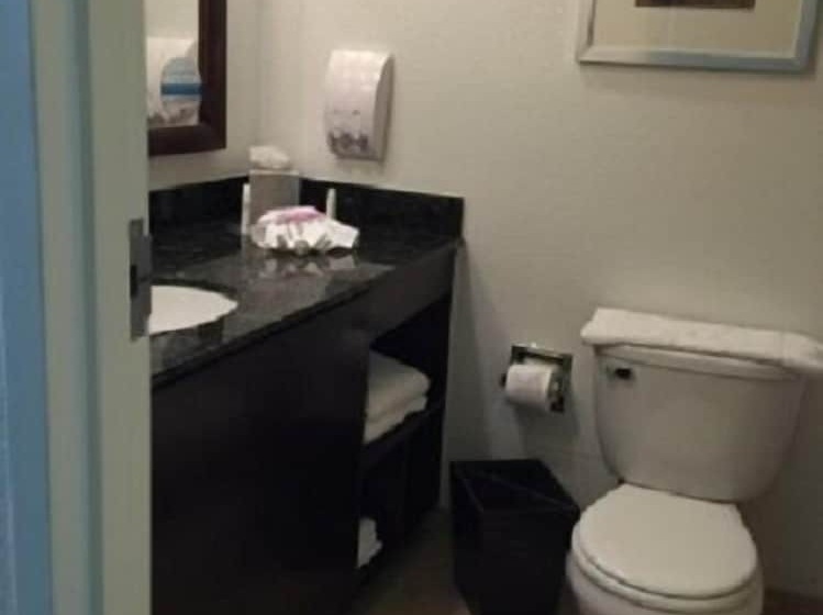 适合残疾人使用的标准间, Doubletree By Hilton Napa Valley American Canyon