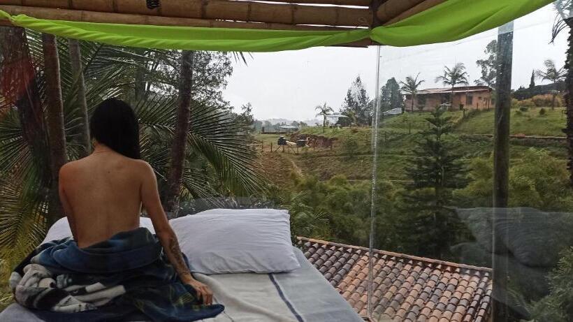 스탠다드 방갈로 정원 전망, Biohotel Ecohouse
