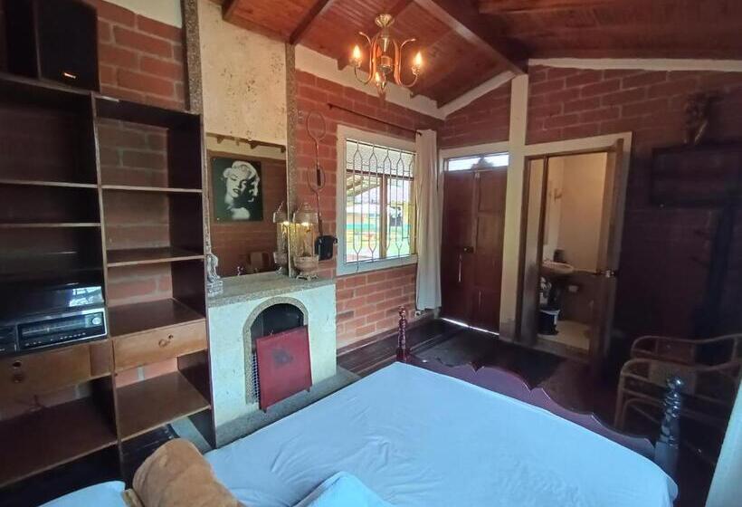 스탠다드 룸, Biohotel Ecohouse