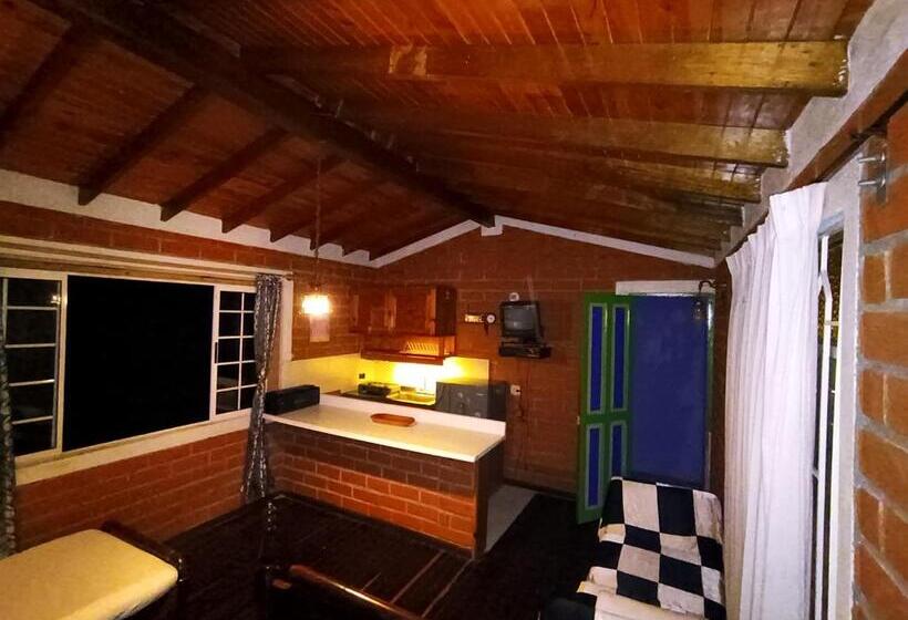 스탠다드 룸, Biohotel Ecohouse