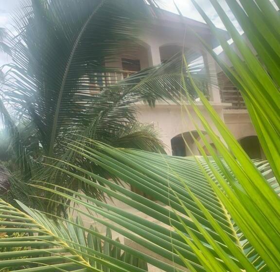 غرفة إقتصادية, Chokoro House