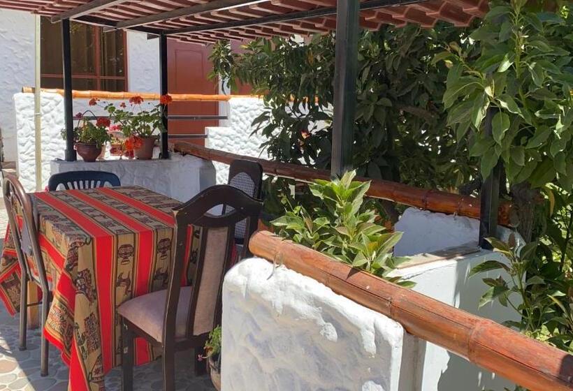 스탠다드 싱글 룸, Las Palmeras Eco Hostel
