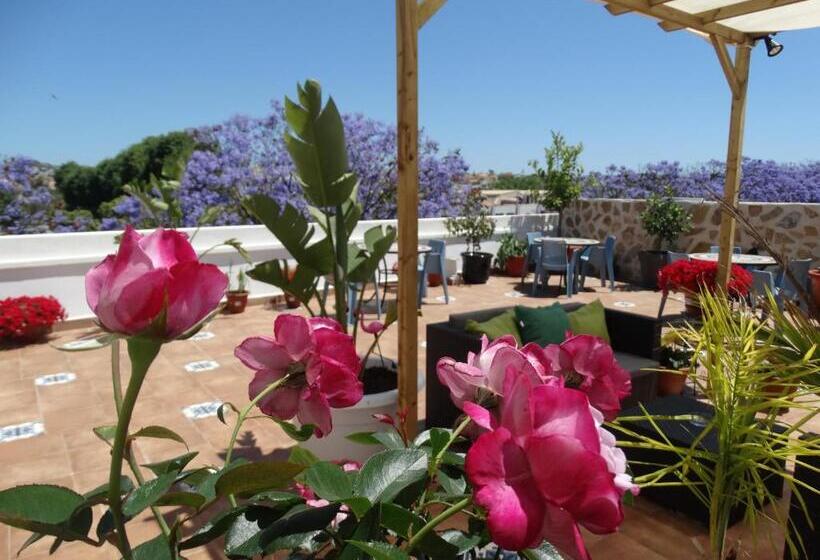 Номер Стандарт с Террасой, Calpe   Hotel Calpe Grupo