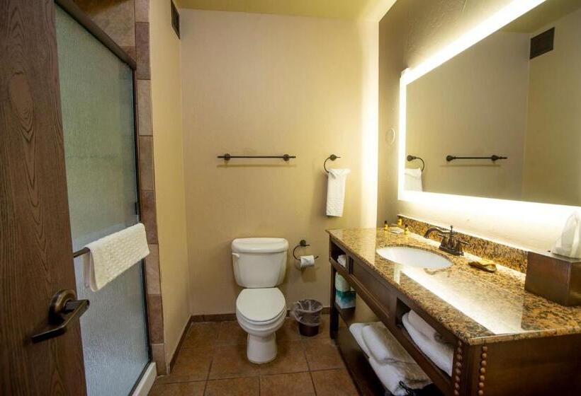 Стандартный Номер Кровать Кинг, Best Western Plus Cimarron Hotel & Suites