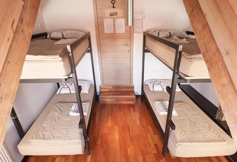 标准四人间共用浴室, Hostel Situla