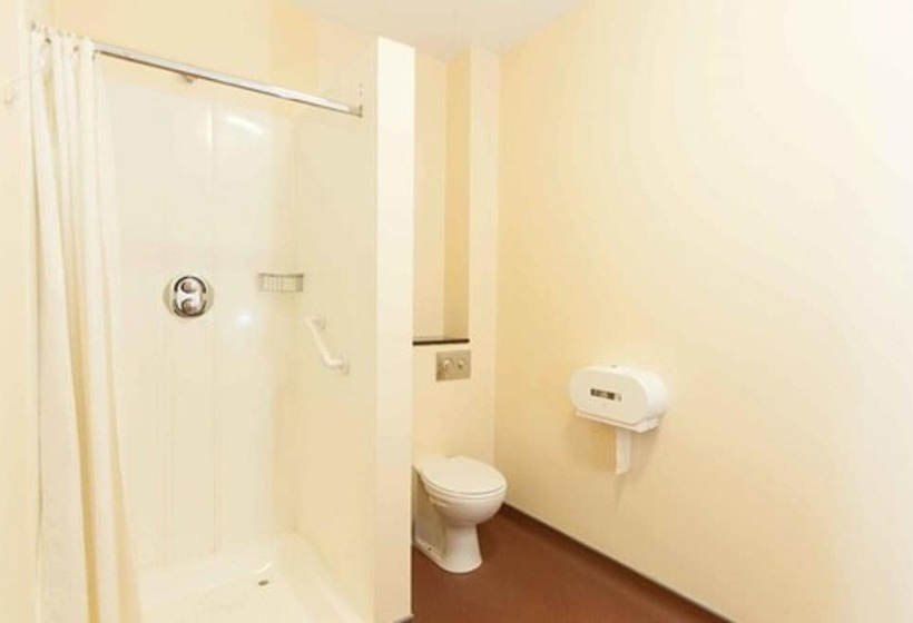 스탠다드 룸, Rowan Tree Hostel