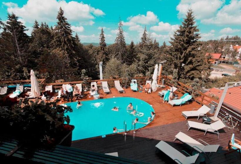 침실 2개 아파트, Alpin Resort Hotel   Apartamentele 2403 2404  Proprietate Administrata De Gazda Privata