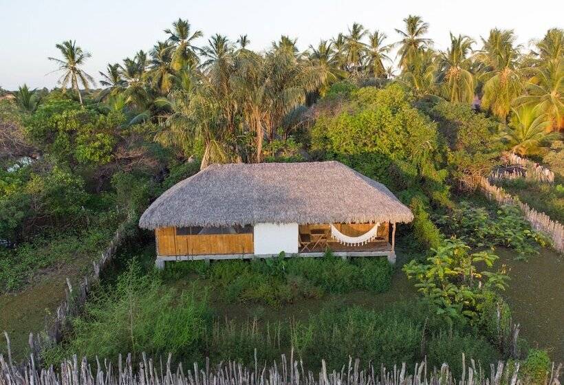 디럭스 방갈로, Vila Do Junco