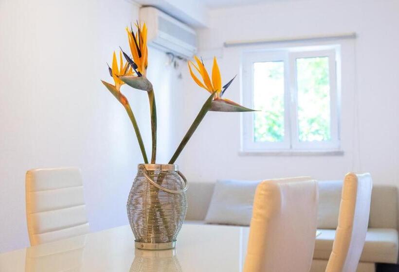اتاق استاندارد, Cem Sentido   Alentejo Apartments