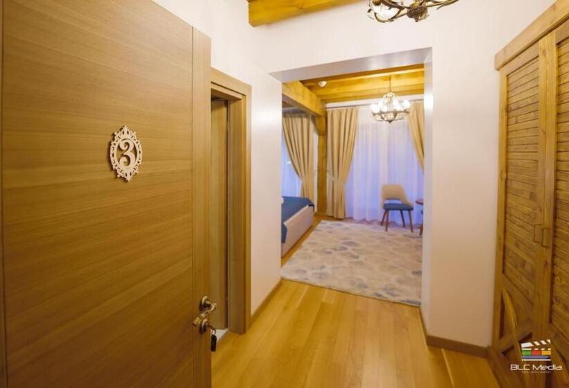 اتاق سوپریور, Casa Baciu Colacu