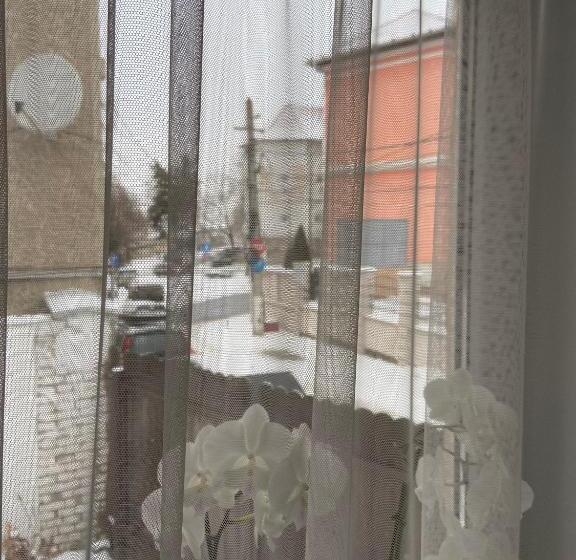 스탠다드 스튜디오, Citadella House Targu Mures