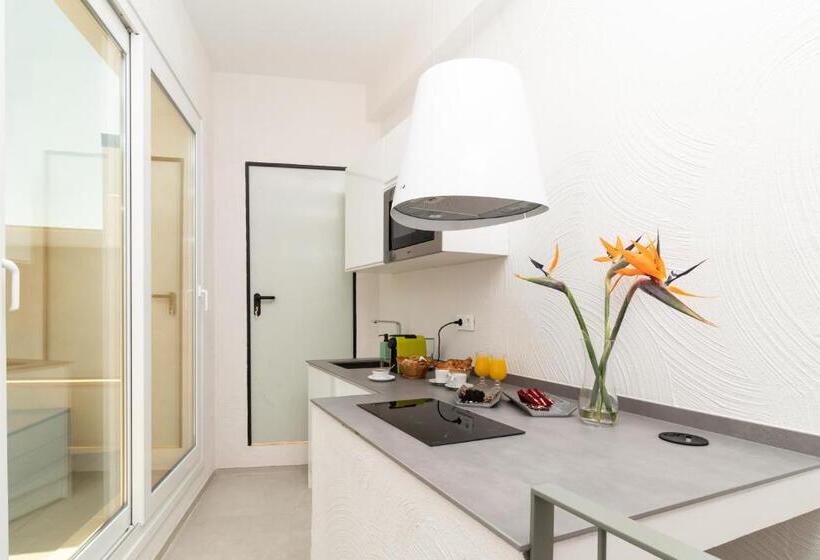 1 Bedroom Penthouse Apartment, Casa 95 Sevilla