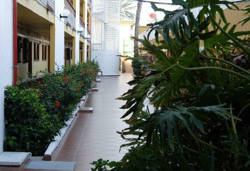 １ベッドルームアパートメント, Apartamentos Los Tilos