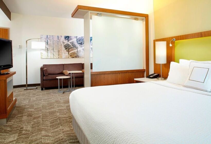 Studio Standard, Springhill Suites Houston Intercontinental Airport