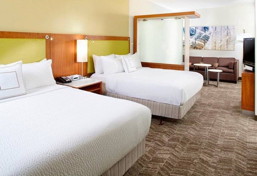 Studio Standard, Springhill Suites Houston Intercontinental Airport