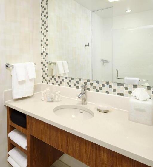 Studio Standard, Springhill Suites Houston Intercontinental Airport
