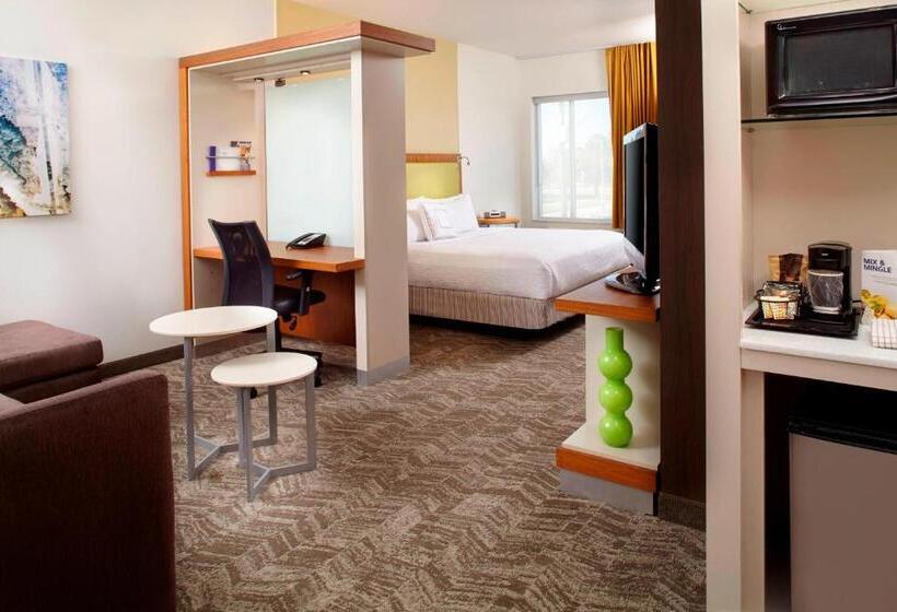 Studio Deluxe, Springhill Suites Houston Intercontinental Airport