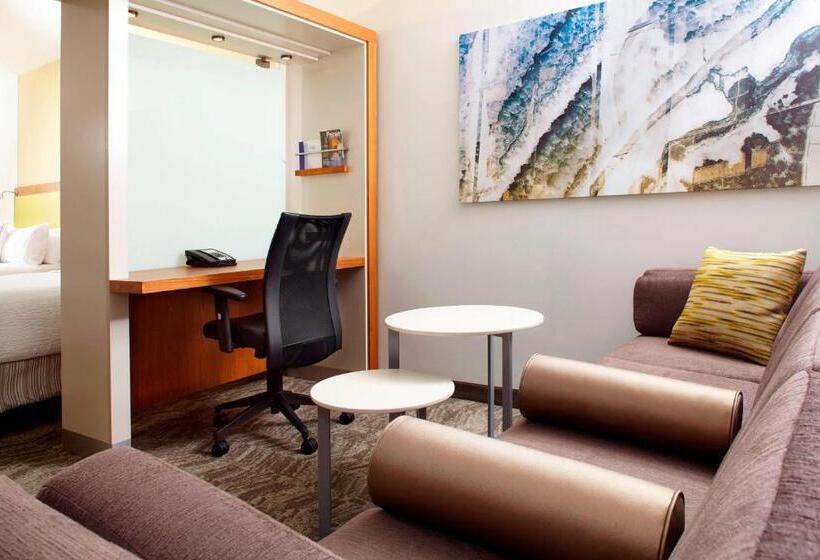 Standard Studio King Bed, Springhill Suites Houston Intercontinental Airport
