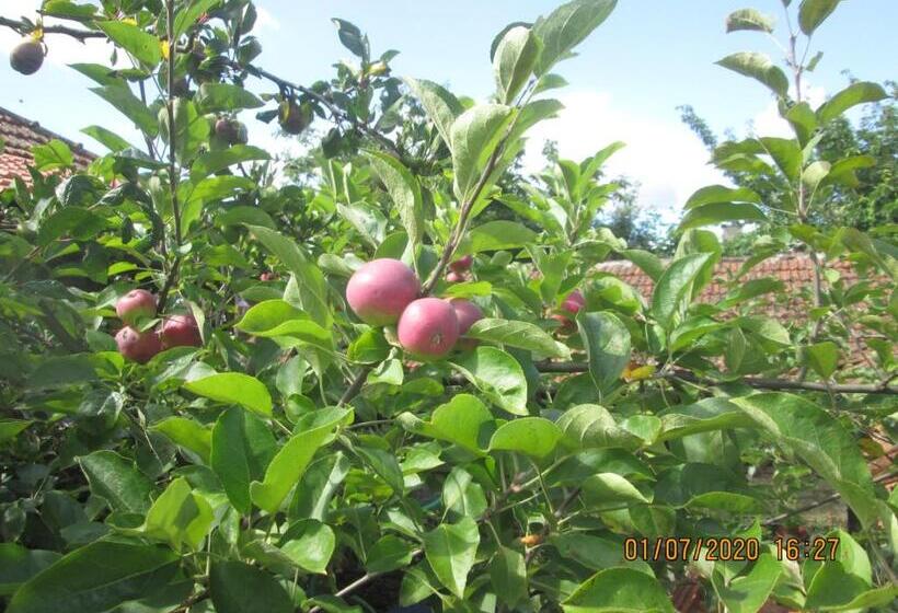 خانه 2 خوابه, Pêssego   Al