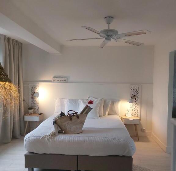 استودیوی استاندارد با چشم‌انداز دریا, Rembrandts Beach View