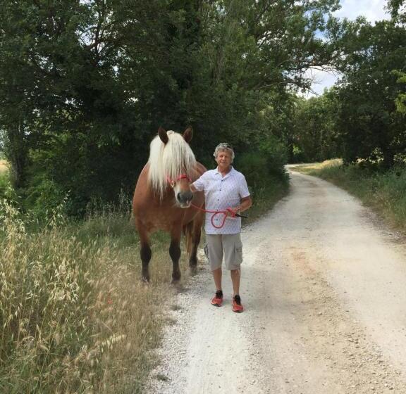 חדר סטנדרט, B&b Et Gite D Ayran