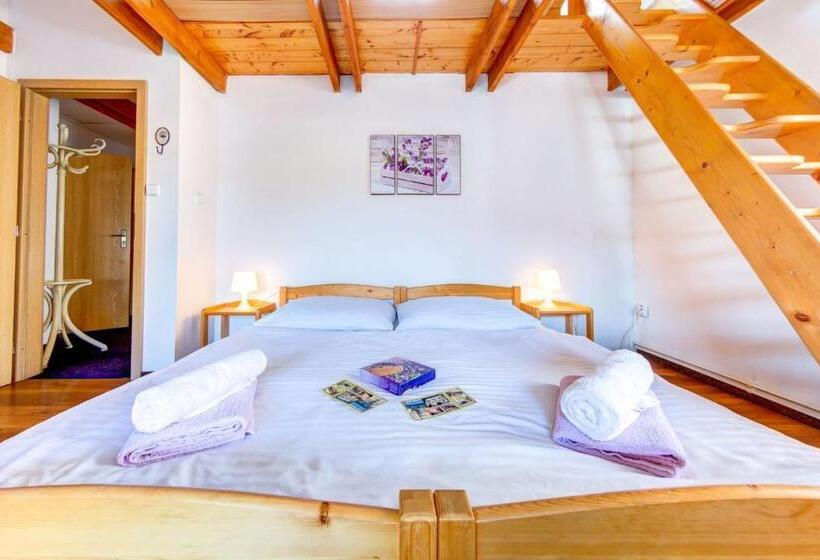 Семейные Апартаменты, Penzion Petra