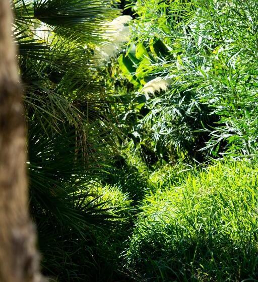 Апартаменты 2 Спальни, A Natural Retreat