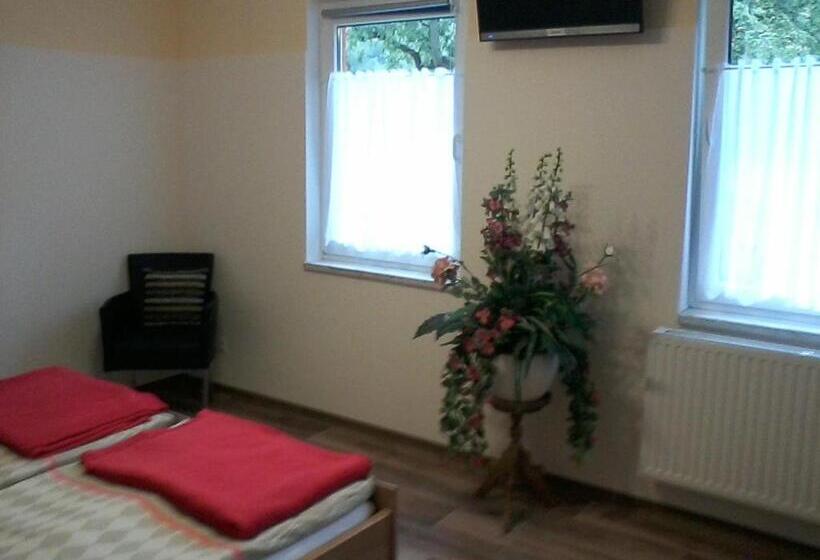 Номер Стандарт, Pension Waldbad Dommitzsch