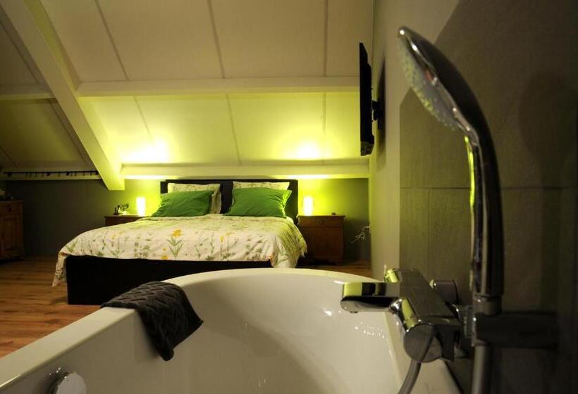 اتاق لوکس, B&b  T Merthoes
