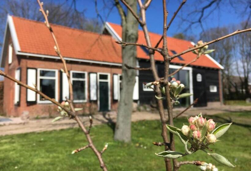 Номер Стандарт, B&b Boerderij De Vaete   Duurzaam Genieten In De Zak Van Zuid Beveland