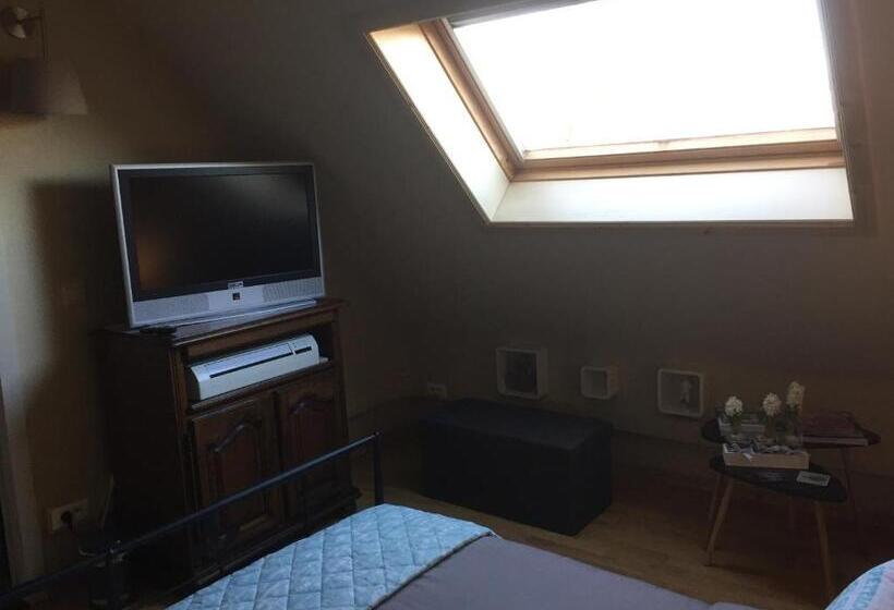 اتاق استاندارد با سرویس بهداشتی مشترک, B&b T Pleintje
