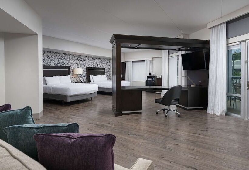 Studio Standard, Hampton Inn & Suites Chattanooga/downtown