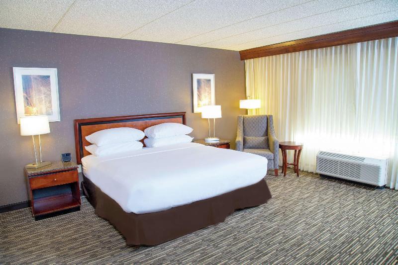 带大床的标准间, Doubletree By Hilton Las Vegas Airport