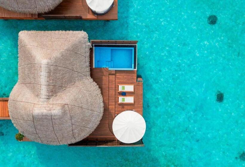ویلای 1 خوابه, W Maldives