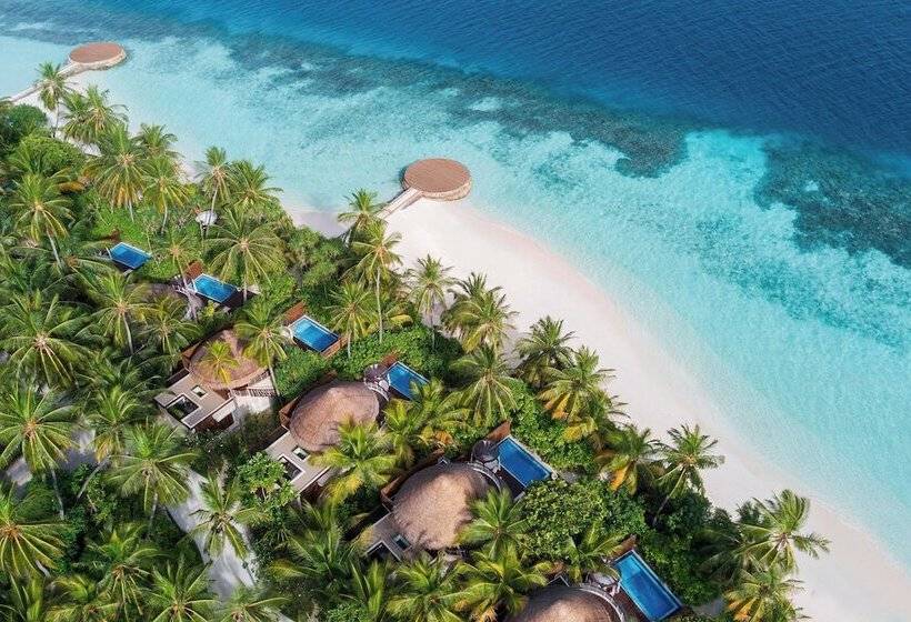 ویلای 1 خوابه, W Maldives