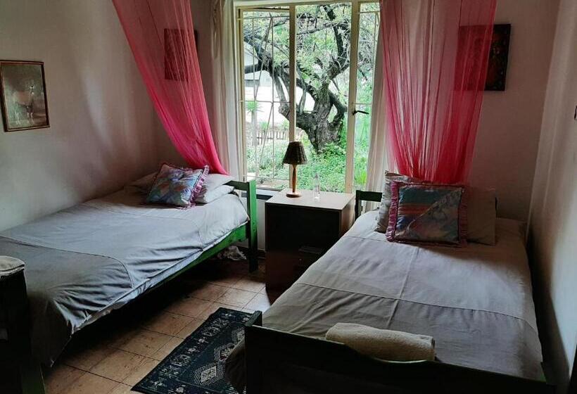 스탠다드 룸, Elephant Walk Guesthouse And Back Packers