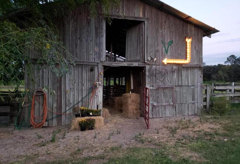 Бунгало Стандарт, Kokomo Farms