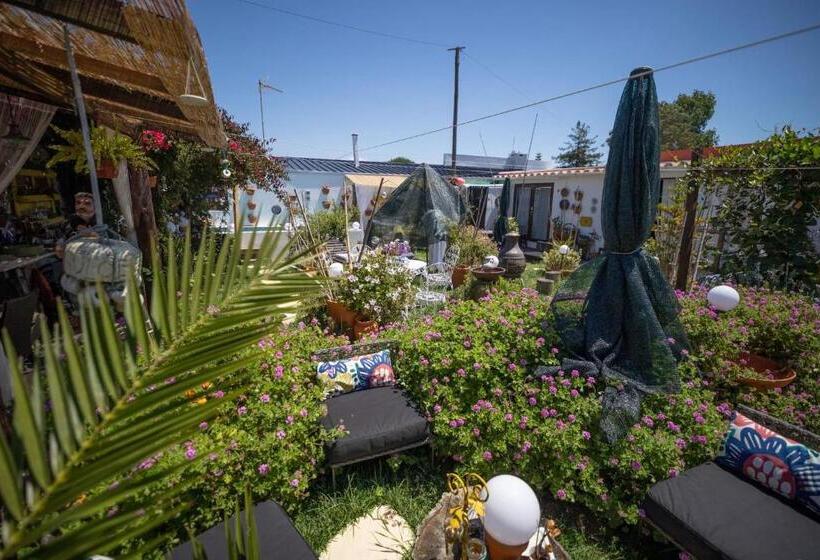Номер Стандарт, Beach House Babylon Guest House With Kitchenette And Garden